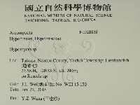 登錄號:F0028838藏品圖，第2張