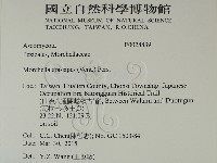 登錄號:F0028839藏品圖，第2張