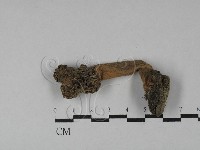 登錄號:F0028839藏品圖，第1張