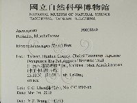 登錄號:F0028840藏品圖，第2張