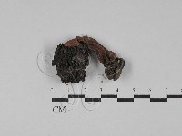 登錄號:F0028840藏品圖，第1張