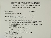 登錄號:F0028841藏品圖，第2張