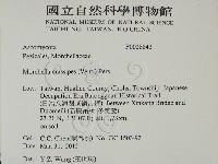 登錄號:F0028842藏品圖，第2張