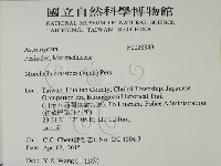 登錄號:F0028843藏品圖，第2張