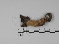 登錄號:F0028843藏品圖，第3張