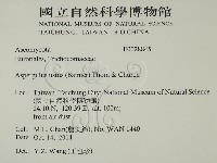 登錄號:F0028845藏品圖，第2張