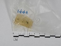 登錄號:F0028845藏品圖，第1張