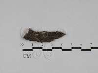 登錄號:F0028846藏品圖，第1張