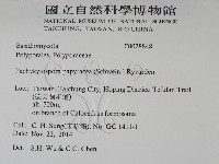 登錄號:F0028848藏品圖，第2張