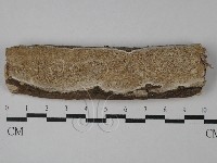 登錄號:F0028848藏品圖，第1張