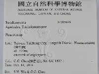 登錄號:F0028849藏品圖，第2張