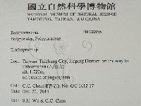 附毛菌屬藏品圖，第2張