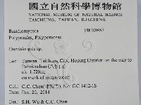 登錄號:F0028857藏品圖，第2張