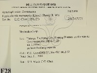 登錄號:F0028858藏品圖，第2張