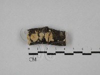 登錄號:F0028858藏品圖，第1張