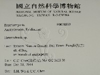 刺皮菌屬藏品圖，第2張