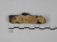 登錄號:F0028861藏品圖，第1張