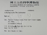 耙菌屬藏品圖，第2張