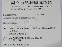 靈芝屬藏品圖，第2張