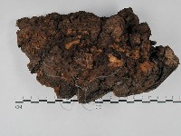 登錄號:F0028864藏品圖，第3張