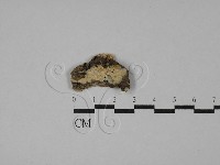 登錄號:F0028865藏品圖，第1張