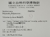 登錄號:F0028866藏品圖，第2張