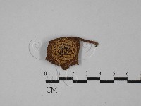 登錄號:F0028866藏品圖，第1張