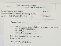 登錄號:F0028867藏品圖，第2張