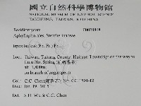 登錄號:F0028868藏品圖，第2張