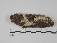 登錄號:F0028868藏品圖，第1張