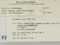 登錄號:F0028870藏品圖，第2張