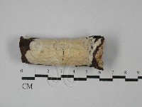 登錄號:F0028871藏品圖，第1張
