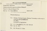 登錄號:F0028871藏品圖，第3張