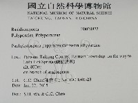 登錄號:F0028872藏品圖，第2張