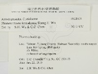 登錄號:F0028874藏品圖，第2張