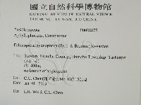 登錄號:F0028875藏品圖，第2張