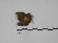 登錄號:F0028875藏品圖，第1張