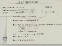 登錄號:F0028876藏品圖，第2張