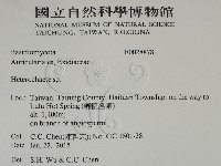 刺皮菌屬藏品圖，第2張