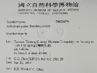 齒耳菌屬藏品圖，第2張