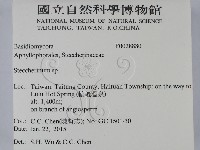 齒耳菌屬藏品圖，第2張