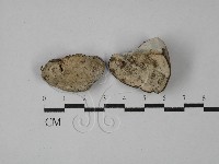 登錄號:F0028881藏品圖，第3張