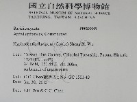 登錄號:F0028885藏品圖，第2張