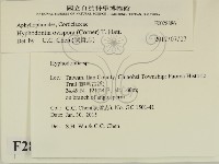 登錄號:F0028886藏品圖，第2張