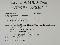 登錄號:F0028887藏品圖，第2張