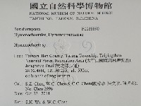 刺革菌屬藏品圖，第2張