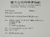 登錄號:F0028891藏品圖，第2張