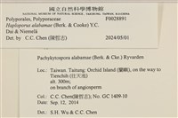 登錄號:F0028891藏品圖，第3張