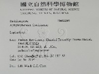 登錄號:F0028892藏品圖，第2張