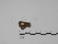 登錄號:F0028892藏品圖，第1張